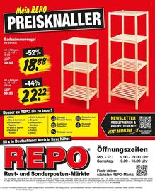 Repo Markt Prospekt woche 26 Seite 16