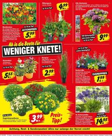 Repo Markt Prospekt woche 26 Seite 2