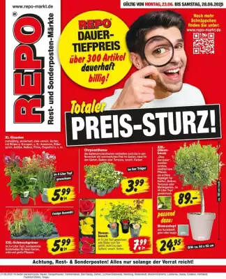 Repo Markt Prospekt (gültig bis 28-06)