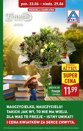 ALDI gazetka tydzień 26 Strona 39