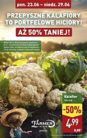 ALDI gazetka tydzień 26 Strona 4
