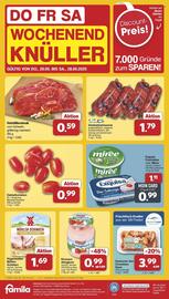 Famila Nord Ost Prospekt woche 26 Seite 45