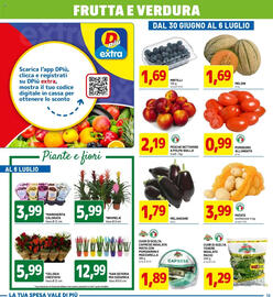 Volantino DPiù Pagina 13