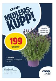 Matkroken Kundeavis uke 26 Side 6