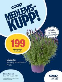 Coop Prix Kundeavis uke 26 Side 10