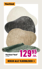 Hornbach folder Pagina 24