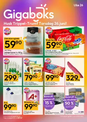 Gigaboks Kundeavis (gyldig til 28-06)