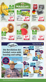 Wasgau Prospekt woche 26 Seite 8