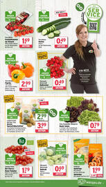 Wasgau Prospekt woche 26 Seite 9