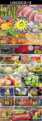 Lococo's flyer (valid until 24-06)