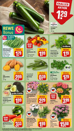 REWE Prospekt woche 26 Seite 7