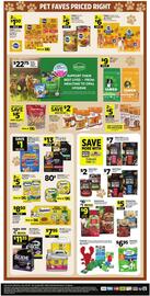 Dollar General Weekly Ad week 26 Page 13