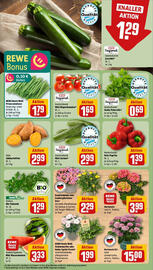 REWE Prospekt woche 26 Seite 7