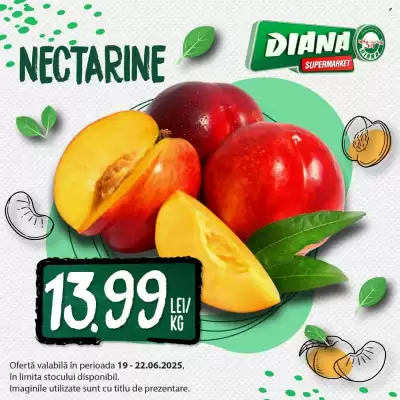 Catalog Diana Supermarket