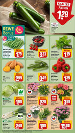 REWE Prospekt woche 26 Seite 7