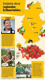 REWE Prospekt woche 26 Seite 15