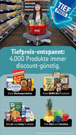 REWE Prospekt woche 26 Seite 22