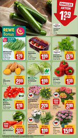 REWE Prospekt woche 26 Seite 7