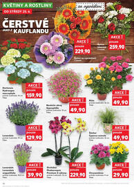 Kaufland leták týden 26 Strana 10