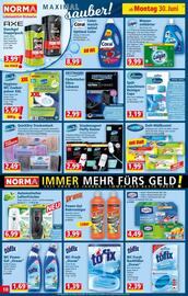 Norma Flugblatt woche 27 Seite 10