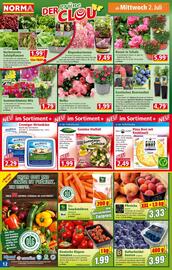 Norma Flugblatt woche 27 Seite 12