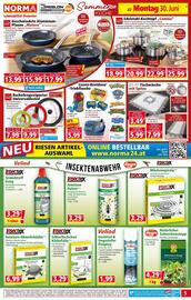 Norma Flugblatt woche 27 Seite 5