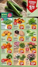 REWE Prospekt woche 26 Seite 7