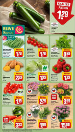 REWE Prospekt woche 26 Seite 5