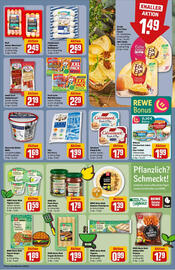 REWE Prospekt woche 26 Seite 13