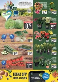 E-Center Prospekt woche 26 Seite 7