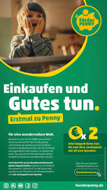 PENNY Prospekt woche 26 Seite 17