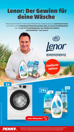 PENNY Prospekt woche 26 Seite 18