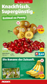 PENNY Prospekt woche 26 Seite 2