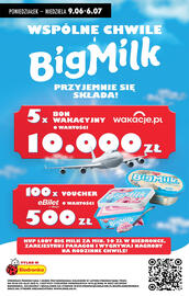 Biedronka gazetka tydzień 26 Strona 49