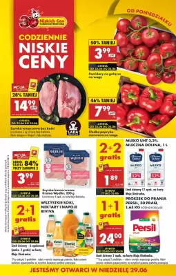 Biedronka gazetka (ważność do 29-06)