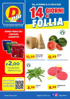 Volantino DPiù