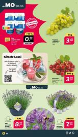 NETTO Prospekt woche 27 Seite 2