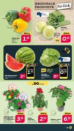 NETTO Prospekt woche 27 Seite 3