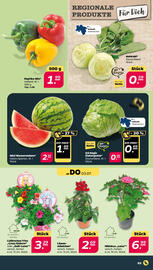 NETTO Prospekt woche 27 Seite 3