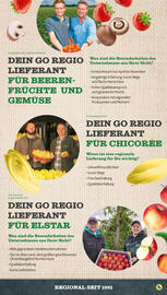 NETTO Prospekt woche 27 Seite 41