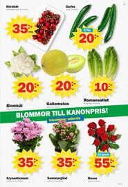 Pekås reklamblad vecka 26 Sida 5