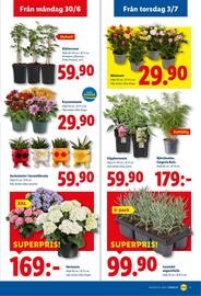 Lidl reklamblad vecka 27 Sida 21