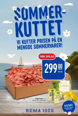 Rema 1000 Kundeavis (gyldig til 28-06)