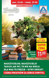 ALDI gazetka tydzień 26 Strona 39