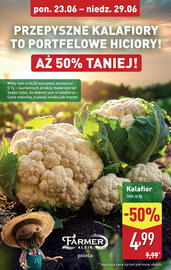 ALDI gazetka tydzień 26 Strona 4