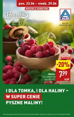 ALDI gazetka (ważność do 29-06)