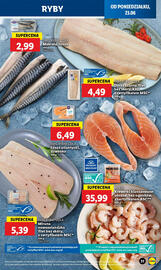 Lidl gazetka Strona 33