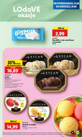 Lidl gazetka Strona 43