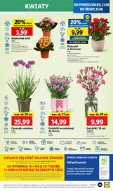 Lidl gazetka Strona 63