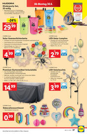 Lidl Flugblatt woche 26 Seite 33